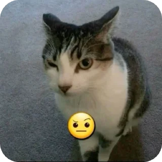 Стикер @sharnio - 5