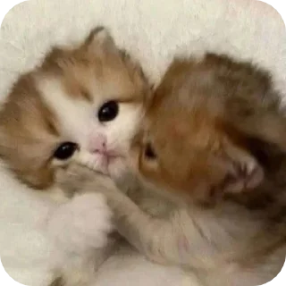 Стикер @sharnio - 9