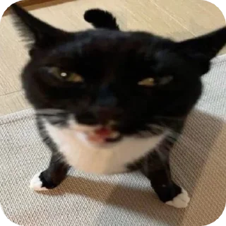 Стикер @sharnio - 1