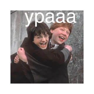 Sticker Гарри Поттер @stickersforyourlife - 7