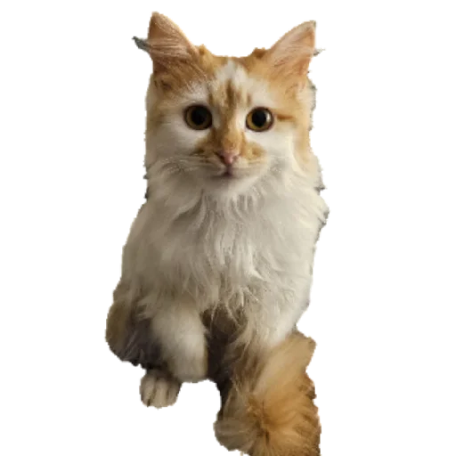 Стикер gav7904 - 1