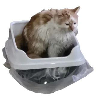 Стикер gav - 8