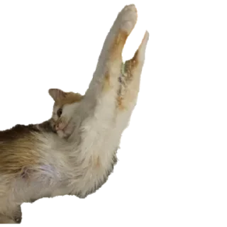 Стикер gav - 9