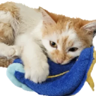 Стикер gav - 7