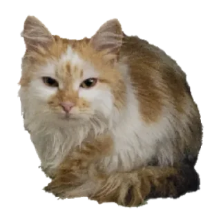 Стикер gav - 11