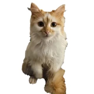 Стикер gav - 4