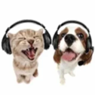 Sticker Стикеры 👉🏼 @stickers_gifs0 - 10