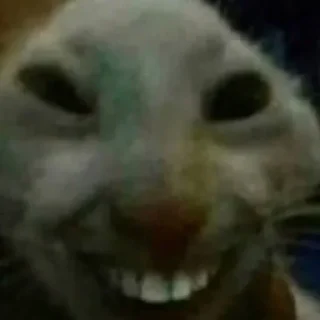 Sticker Стикеры 👉🏼 @stickers_gifs0 - 5