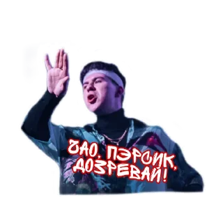 Стикер Gayazovs Brothers - 4