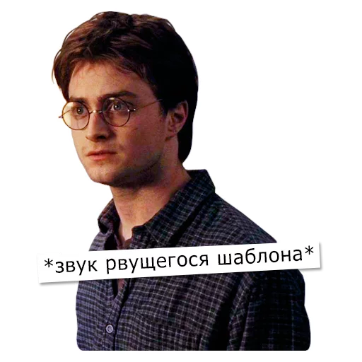 Стикер поттеровский позор 2.0 - 9