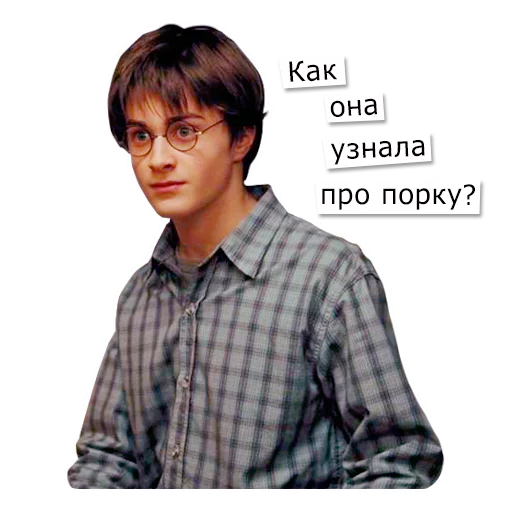 Стикер поттеровский позор 2.0 - 5