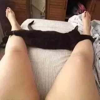 Стикер Больше стиков тут: @stikery4 - 2