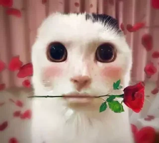 Стикер Больше стиков тут: @gostikers - 10