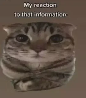 Стикер Больше стиков тут: @gostikers - 0