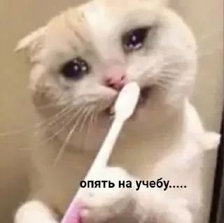 Sticker Больше стикеров 👉🏻 @stickertg4 - 2