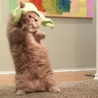 Sticker Больше стикеров 👉🏻 @stickertg4 - 5