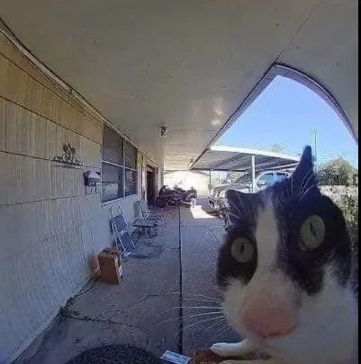 Sticker gedEcFw_by_achestickbot - 1