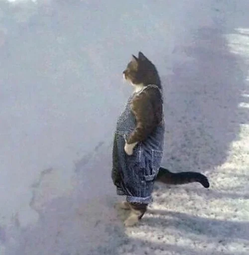 Стикер gedEcFw_by_achestickbot - 1