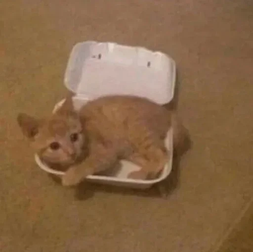 Стикер gedEcFw_by_achestickbot - 1