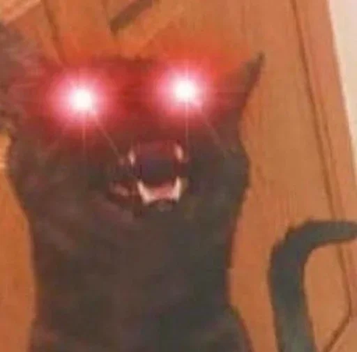 Sticker gedEcFw_by_achestickbot - 1