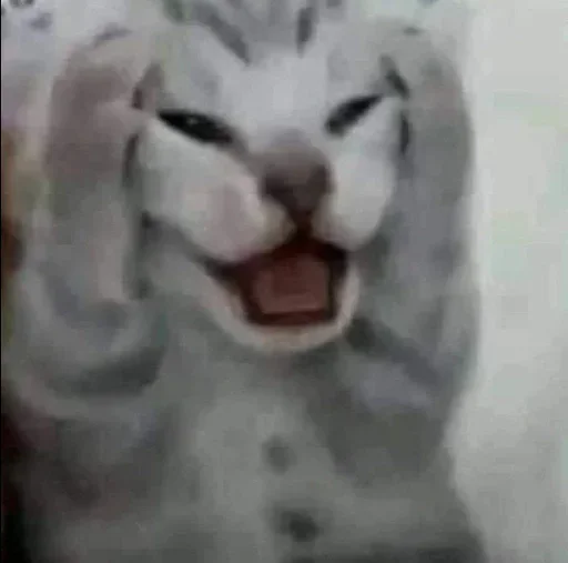 Стикер gedEcFw_by_achestickbot - 1