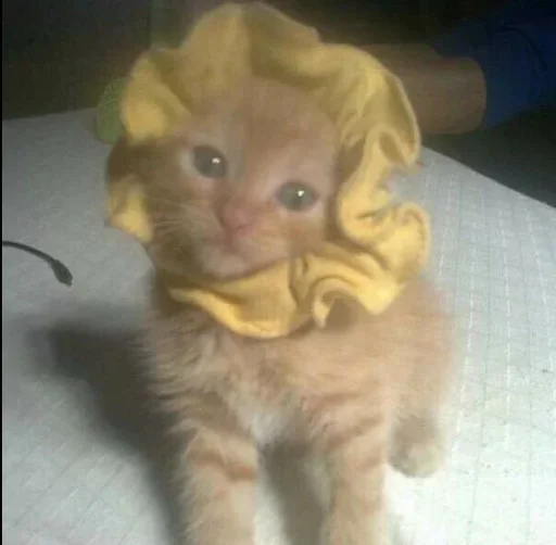 Sticker gedEcFw_by_achestickbot - 1