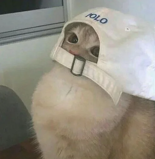 Стикер gedEcFw_by_achestickbot - 1