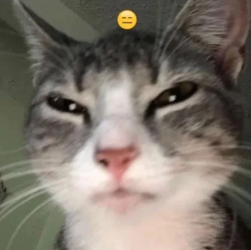 Sticker gedEcFw_by_achestickbot - 1