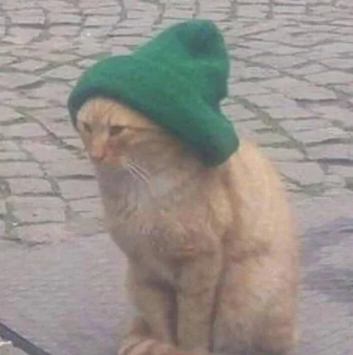 Sticker gedEcFw_by_achestickbot - 1