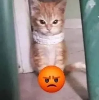 Sticker Больше стиков тут: @stikery4 - 3