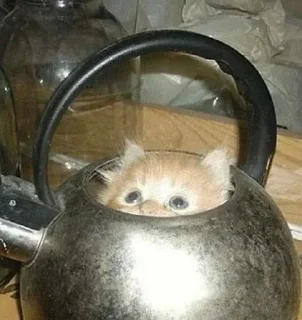 Sticker Больше стиков тут: @stikery4 - 2