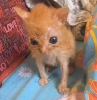 Sticker Больше стиков тут: @stikery4 - 1