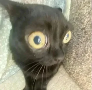 Sticker Больше стиков тут: @stikery4 - 10