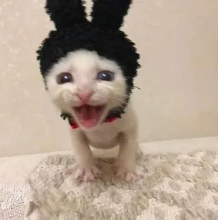 Sticker Больше стиков тут: @stikery4 - 4