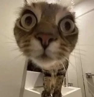 Sticker Больше стиков тут: @stikery4 - 7