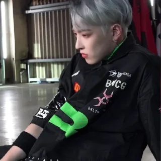 Sticker геймини - 1