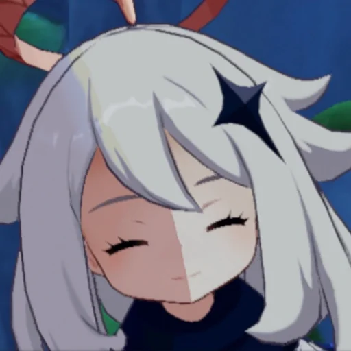 ✨genshin impact✨ - 