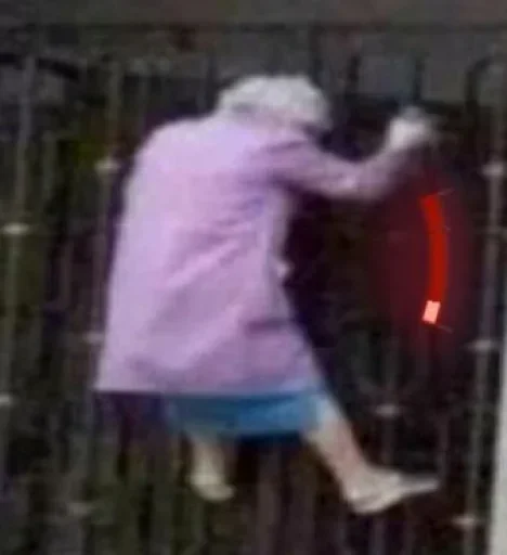 person clothing fence