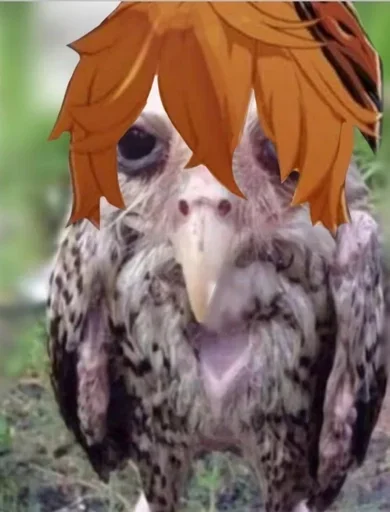 Стикер Геншсов :: @fStikBot - 5