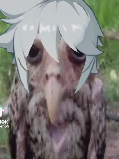 Стикер Геншсов :: @fStikBot - 4