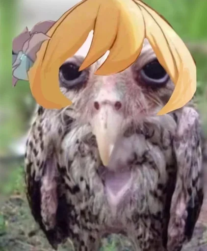 Стикер Геншсов :: @fStikBot - 3