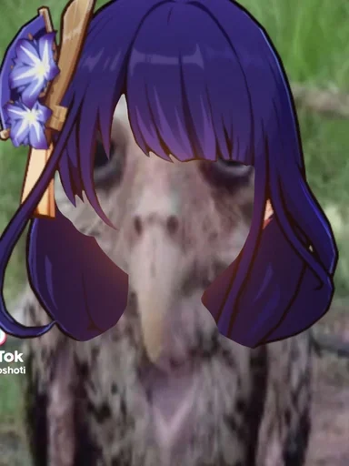 Стикер Геншсов :: @fStikBot - 2