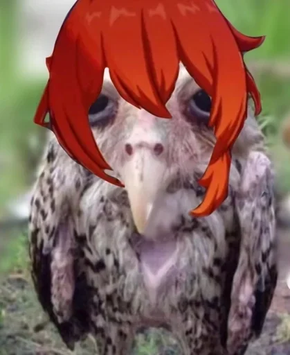 Стикер Геншсов :: @fStikBot - 1