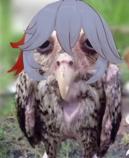 Стикер Геншсов :: @fStikBot - 0