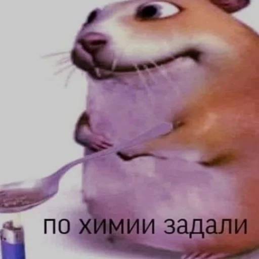 млекопитающее животное мышь