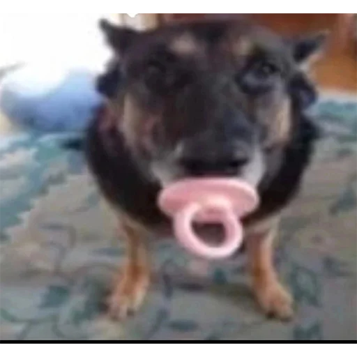 Стикер getbuck - 1