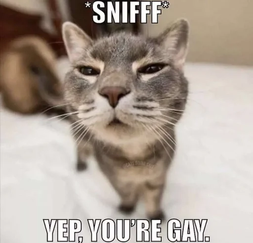 Стикер getlev2 - 1