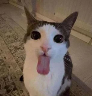 Sticker get lev 2 - 1