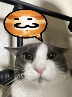 Sticker get lev 2 - 6