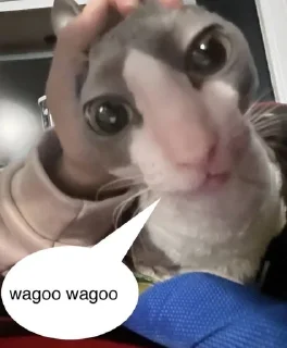 Sticker get lev 2 - 8